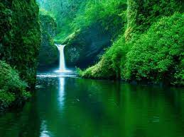 Wallpaper engine wallpaper gallery create your own animated live wallpapers and immediately share them with other users. Nature Background Images Hd Gif