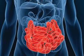 Image result for Fecal Transfer