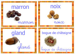 Vocabulaire L Automne Vocabulaire Bricolage Automne Automne