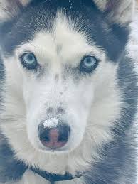 Luna snow over invisible woman all day