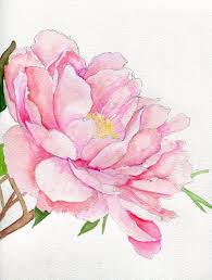 Watercolor Peonies Tumblr Peony Painting Floral Watercolor Watercolor Flowers Paintings
