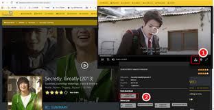 Of course, the korean movies and dramas can be included. The Overall Approaches To Download Korean Movies In 2020