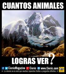 ¿cuántos cuadrados hay en la imagen? Cienic Curiosidades Ø¯Ø± ØªÙˆÛŒÛŒØªØ± Cuantos Animales Logras Ver Comenta Si Sabes La Respuesta Juegosmentales Juegosvisuales Destreza Http T Co I91xekpxey