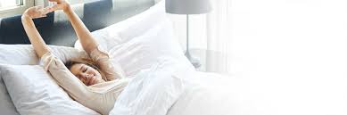 Contact anderson pest solutions today for a fast & free bed bug removal estimate. Bed Bug Exterminators Bed Bug Removal Anderson Pest Solutions