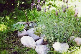 Es gibt verschiedene arten der tierbestattung. Tierbestattung Welche Moglichkeiten Gibt Es