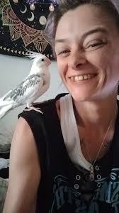 Lost bird in Ardsley/Hartsdale area, please contact