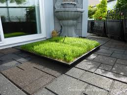 Cayman Building A Grass Potty For Our Pooch Dog Potty Dog Potty Area Diy Dog Stuff