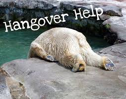Hangover Help Polar Bear Funny Animal Pictures Funny Animals