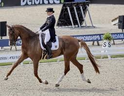 Spectators were given an inside look on how werth develops a young horse to be a successful international grand prix competitor. Nothing Is Worth More Than Our Health Isabell Werth Horse Journals