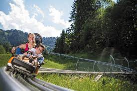 In dry conditions and 330lbs in wet conditions. Alpine Coaster Adventure Edelweiss Lodge And Resort
