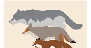 Superhero super1 super2 enderwomen x the gigantitan. Comparing Canids
