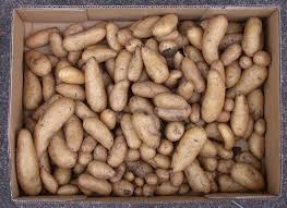 We did not find results for: 17 Surprising Things You Can Put In The Dishwasher Huffpost Life