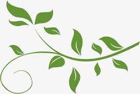 Fresh Green Leafy Vine Leaves Vine Clipart Fresh Green Vine Png Transparent Clipart Image And Psd File For Free Download Leaf Clipart Plant Clips Clip Art