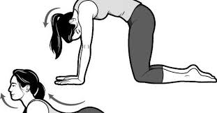 Rest Better With Light Exercises Exercise Lower Belly Workout Sleep Yoga