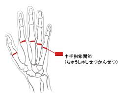 We did not find results for: Mejora Tus Habilidades Como Dibujar Manos Tomando Como Base La Estructura Osea Y Las Proporciones Anatomicas Nivel Intermedio Medibang Paint