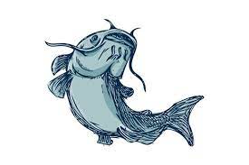 Often confused with its congener, l. Catfish Mud Cat Jumping Up Drawing Fish Drawings Fish Artwork Fish Sketch