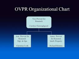 office of the vice provost for research ovpr understanding