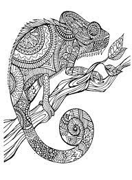 Platypus aboriginal art coloring page | free printable coloring pages. Image Result For Aboriginal Animal Colouring Pages Kleurplaten Krabbel Kunst Tekeningen Kleurboek