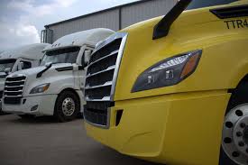 Image result for Light Cream 2018 Fleet