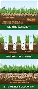 Pin On Gardening Landscaping