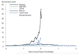 Are the cryptocurrency markets in a bubble about to burst? Goldman Sachs Investment Chief Crypto Bubble Burst Will Affect 1 Of Global Gdp