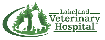 Long island animal hospital is proud to serve westbury, ny and surrounding areas. Job Application For Dvm Student Externship Preceptorship Program Lakeland Veterinary Hospital At Lakeland Veterinary Hospital
