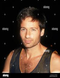 David irvine hi-res stock photography and images