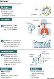 Bleibt das fieber länger als drei wochen bestehen, die ursache jedoch unerkannt, handelt es sich um fieber unklarer herkunft. Erkaltungszeit Mythos 1 Erkaltungen Werden Haufig Zu Einer Grippe Wissen Stuttgarter Zeitung