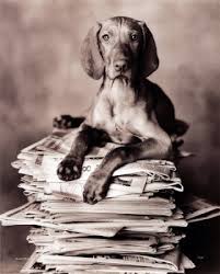 15 modele de rochii de seara. De Ce Adevarul Deranjeaza Sorina Matei