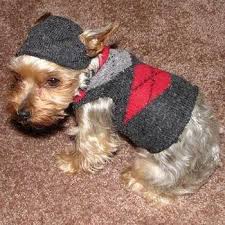 Diy Pet Sweaters Diy Dog Sweater Small Dog Sweaters Dog Clothes Diy