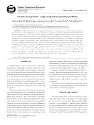 Image result for Eragrostis anacranthoides