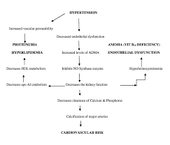 The Cureus Journal Of Medical Science Peer Reviewed Open