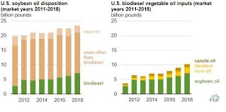 Soybean Oil Comprises A Larger Share Of Domestic Biodiesel