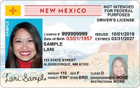 The tsa is preparing to take a page out of dr. Real Id