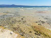Hai a disposizione 55 hotel e altre strutture tra cui. Jamaica Beach Sirmione Aktuelle 2021 Lohnt Es Sich Mit Fotos Tripadvisor
