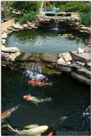 Before getting to the actual building of the pond, it is essential that you first put your ideas down on paper. Pin On Make A Pond In Your Garden