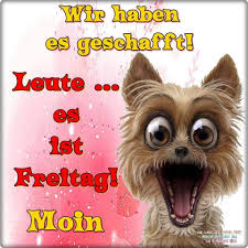 Freitag Freitag Lustig Guten Morgen Lustig Freitag Spruche Lustig