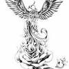 Maybe you would like to learn more about one of these? Https Encrypted Tbn0 Gstatic Com Images Q Tbn And9gcrzvokv Wpr1rise0yvnqrnd6xrocv4ikju Sq0yku Usqp Cau
