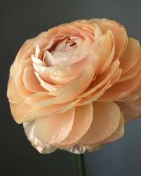 Check spelling or type a new query. Wilder Floral Co Home Facebook