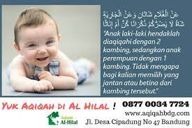 Rasullulah saw memerintahkan kepada kami supaya menyembelih aqiqah. Aqiqah Anak Perempuan Yang Sesuai Dengan Ketentuan Syariat Islam
