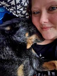 Calm before the crazy rare heeler sighting