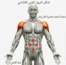 حجامة و فوطة نارية للنساء شلف Posts Facebook