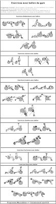 Un programme de musculation pour développer la force et la masse des fessiers, et un programme de fitness, pour un travail en isolation des fessiers, pour tonifier les soulevé de terre roumain : Le Fit Ball Un Ballon De Gymnastique Pour Se Tonifier