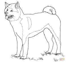 Akita Kleurplaat
