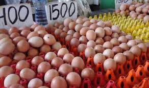 Karena di indotrading menyediakan berbagai telur dan daing yang murah dan tentu saja berkualitas. Infopublik Harga Telur Ayam Naik Di Rokan Hulu