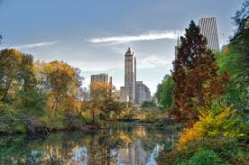 Central park ny is also home to the central park zoo and the delacorte theatre, where public theater's acclaimed shakespeare productions are held. Central Park In Popular Culture Wikipedia