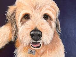 Rozi Turnbull Gallery