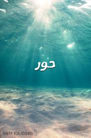 صور اسم حور صورة