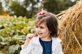 Image result for tbn:0PJB32OL7JwfOM::farm4.static.flickr.com/3324/3329876139_f2d551139f.jpg