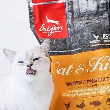 Maybe you would like to learn more about one of these? Holistic Cat Food Pandosy Vet